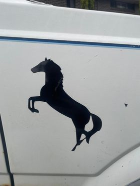 Brumby Horse Side Door Decals - 2x Styles - Pair
